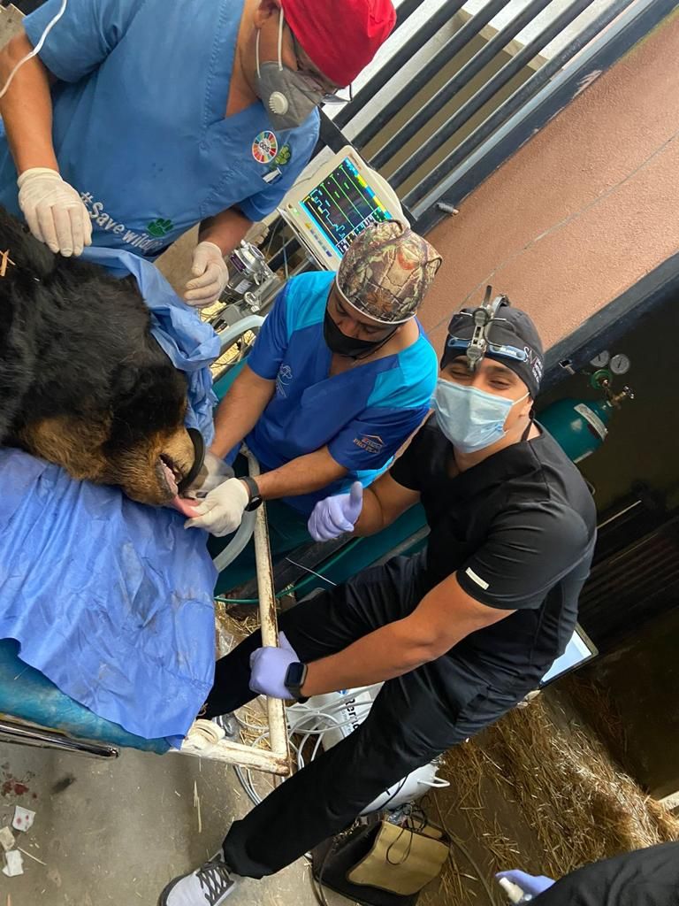 Josué Márquez Gómez-73