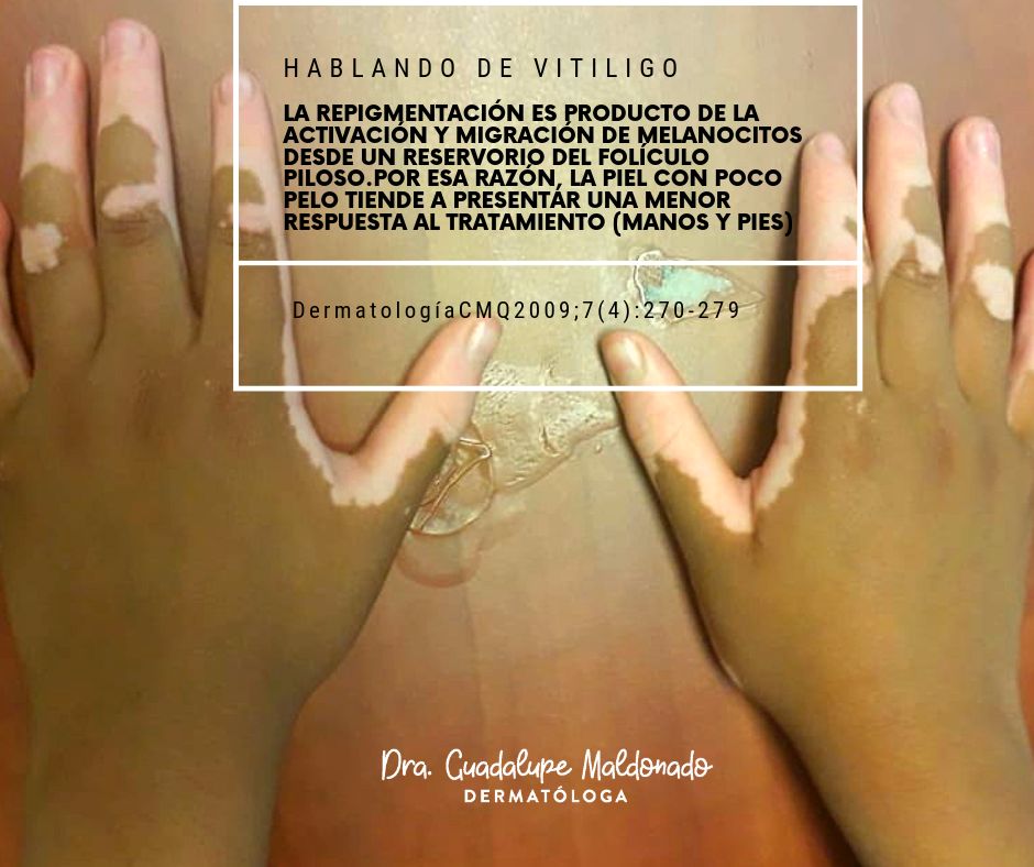 Guadalupe Maldonado Colín-4