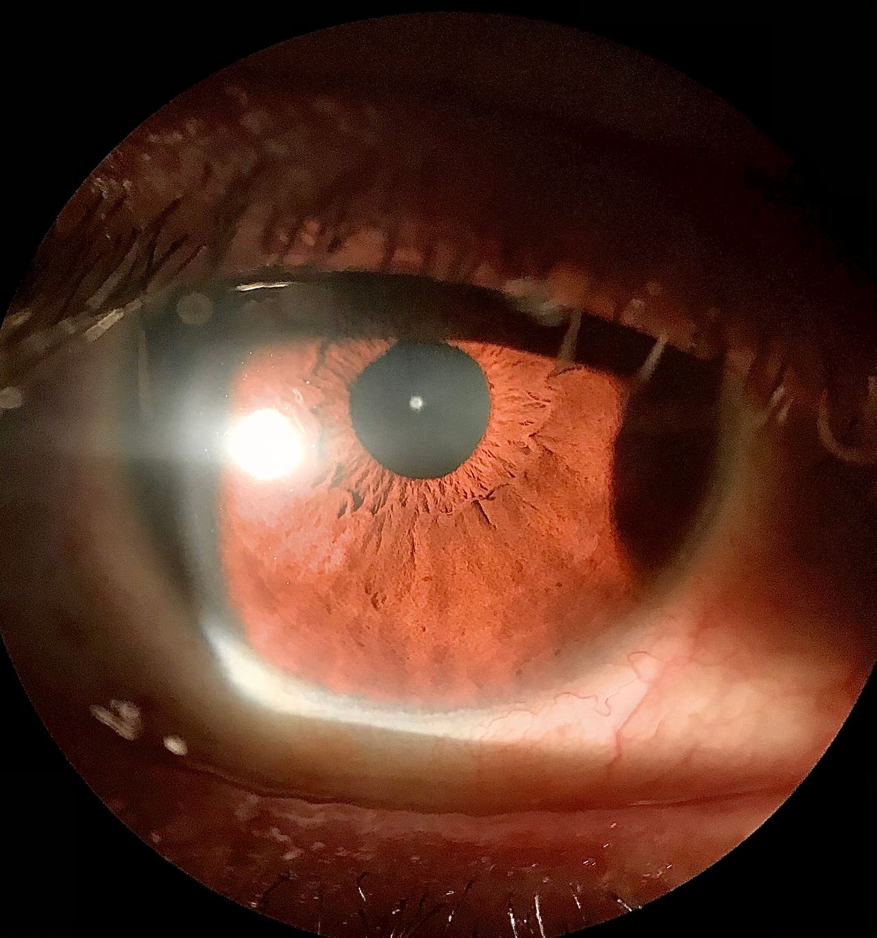 Jennifer Montoya Silva-24