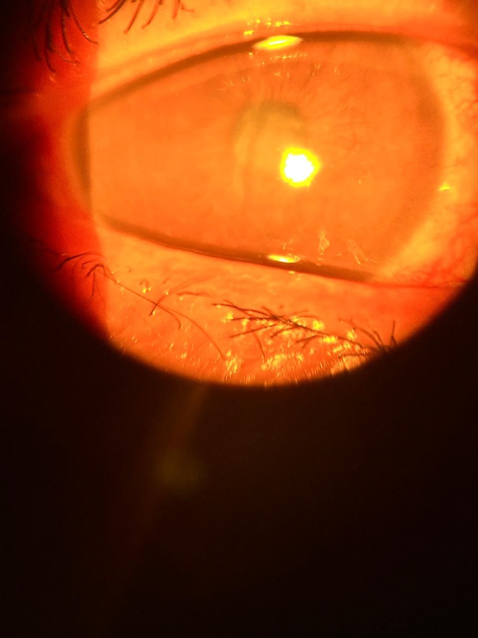 Daniel Martin Laguna Muñoz-47