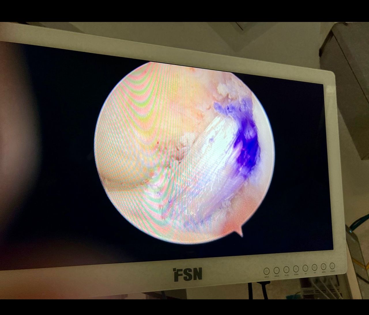 Luis Mario Montes Jimenez-15