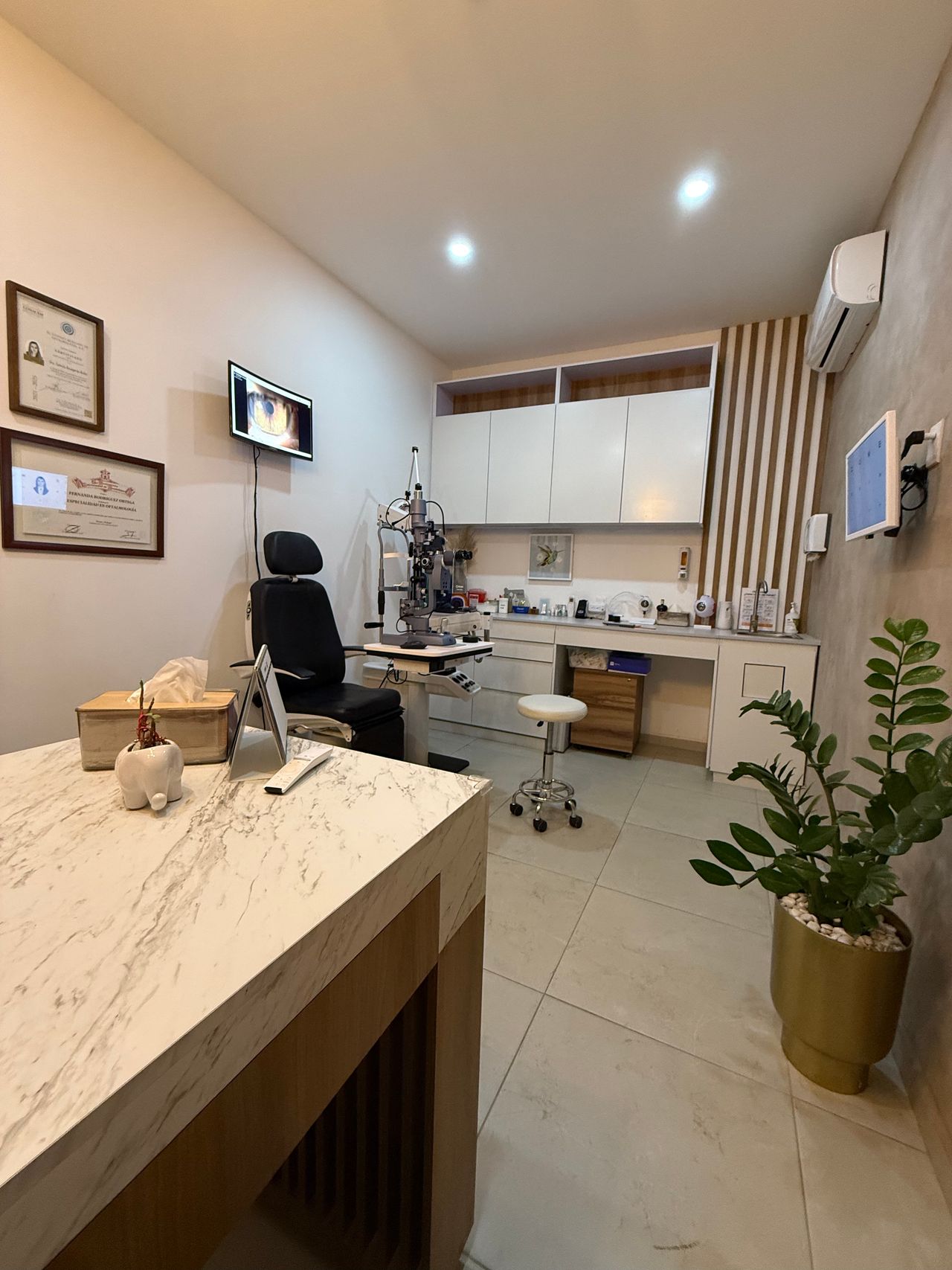 Fernanda Rodríguez Ortega-4