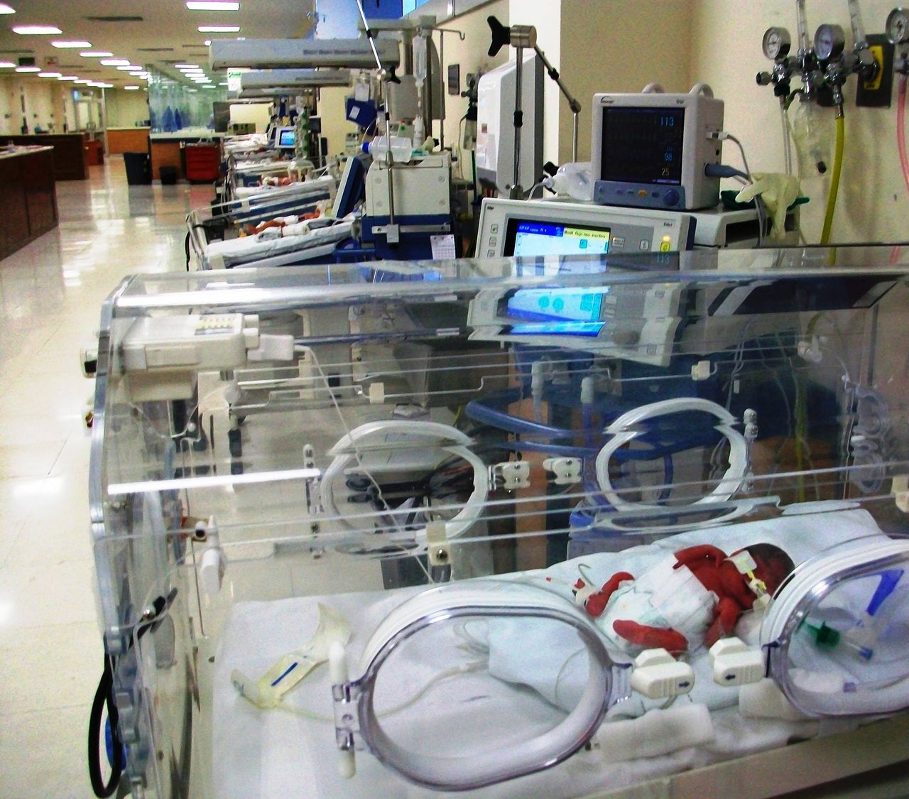 Ivanhoe Mendoza Lopez-58