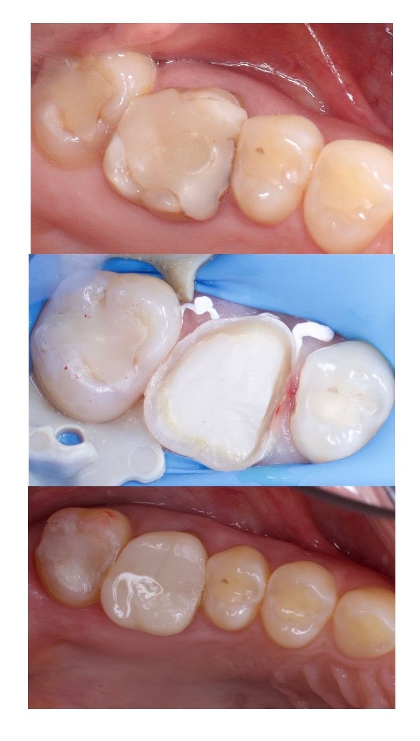 Francisco Galeana Araujo-4