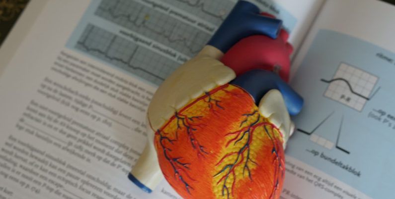 Heidi Carrera Rios-0