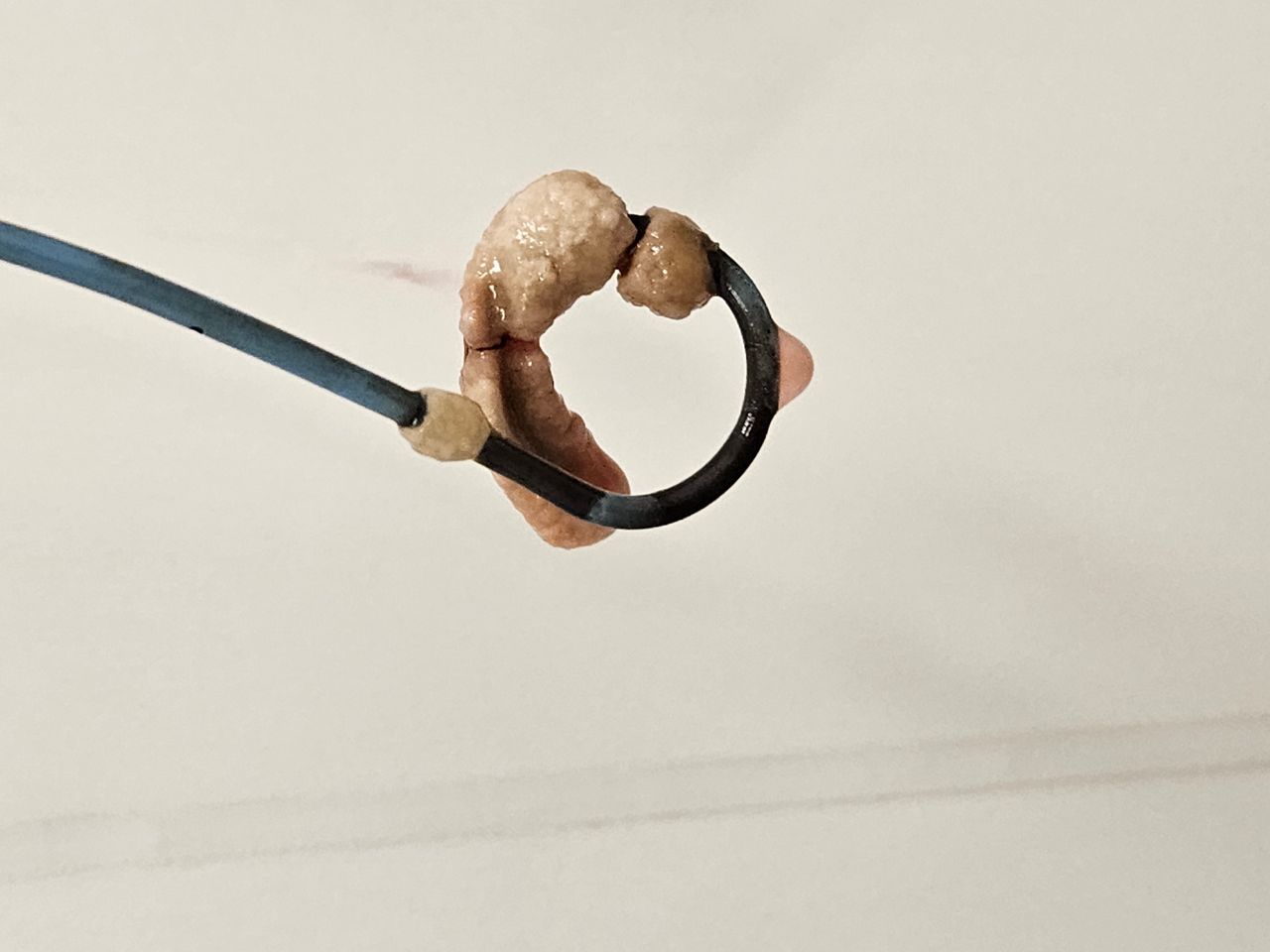 Michel Bastarrachea Solis-4