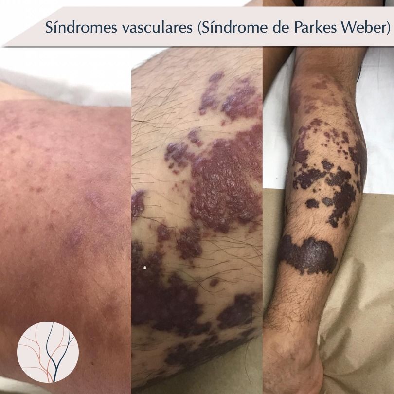 Erika Berenice Ramírez Pérez-16