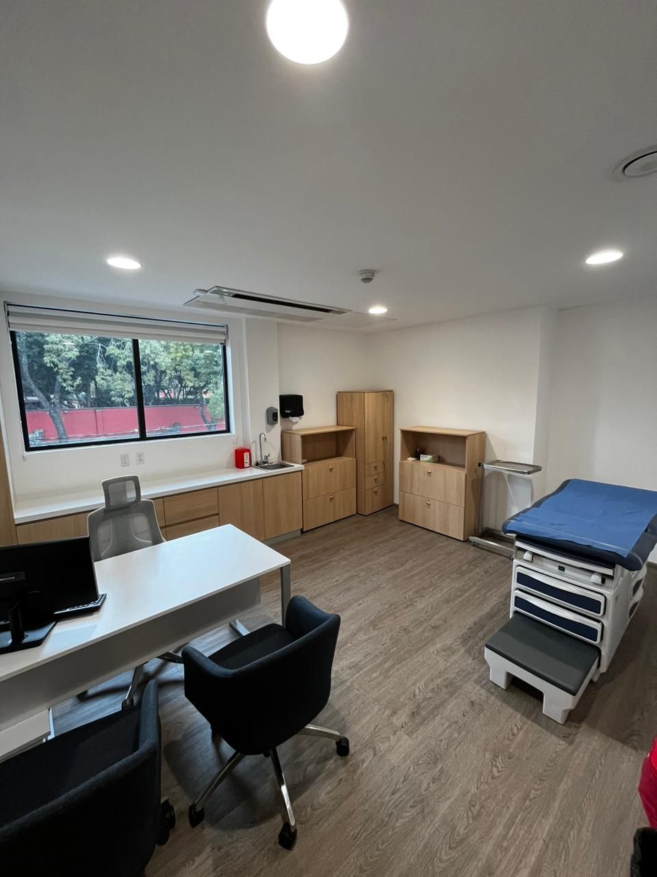 Carolina Pérez Jiménez-0