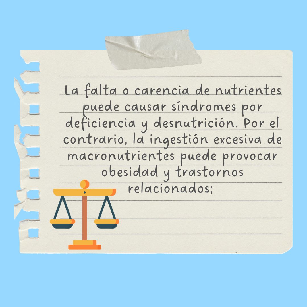 Manuel Josimar Hernández Castillo-8