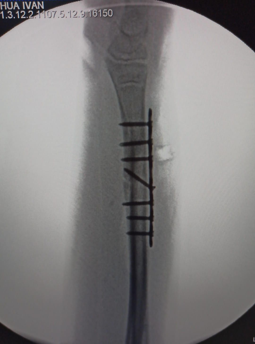 Cynthia Julieta Alvarez Rodríguez-5