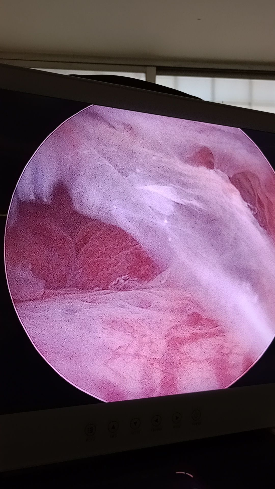 Lizzet Sierra Mendoza-7