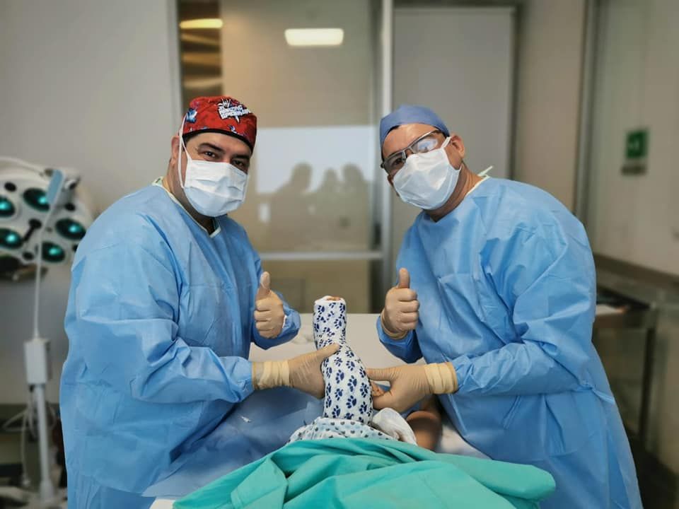 Alfonso Meza Vernis-27