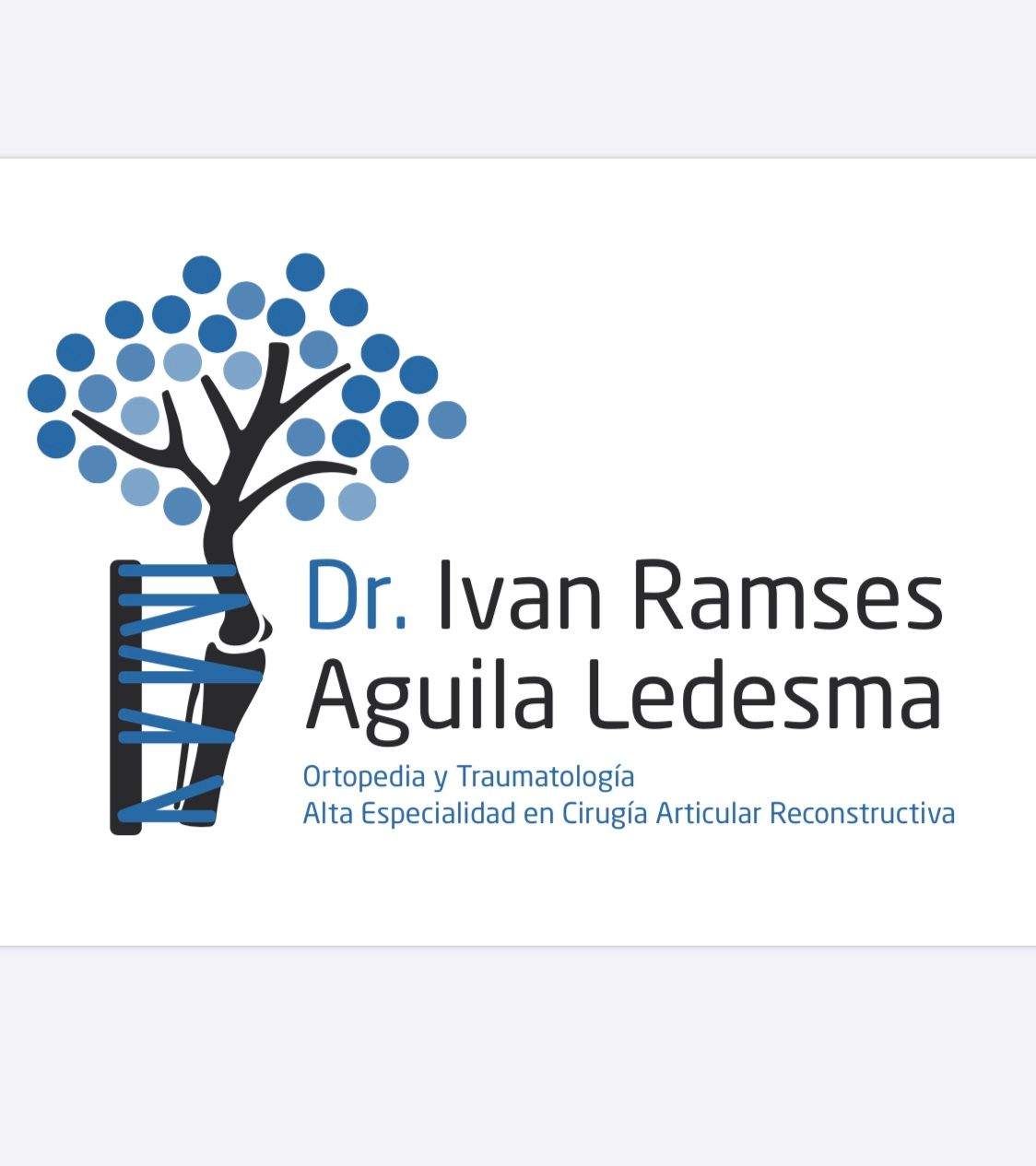 Ivan Ramses Aguila Ledesma-7