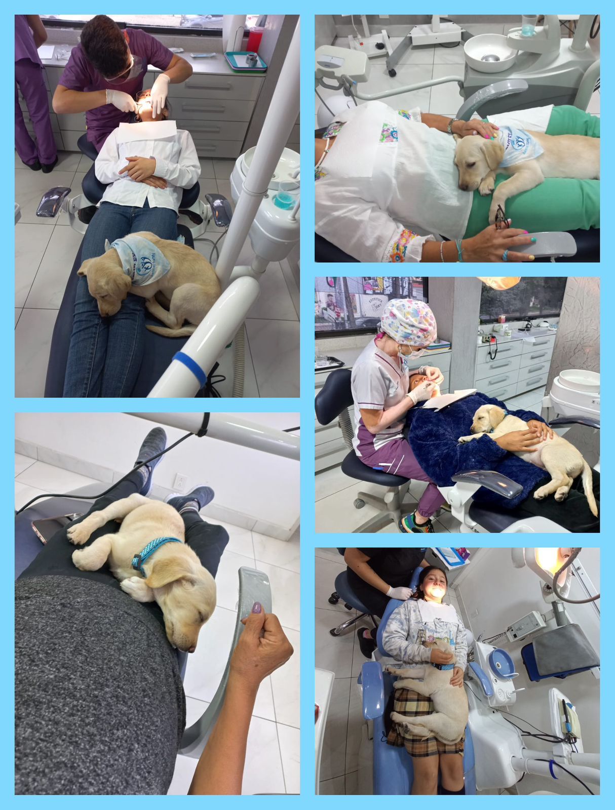 Lizbeth Rodríguez Capetillo-19