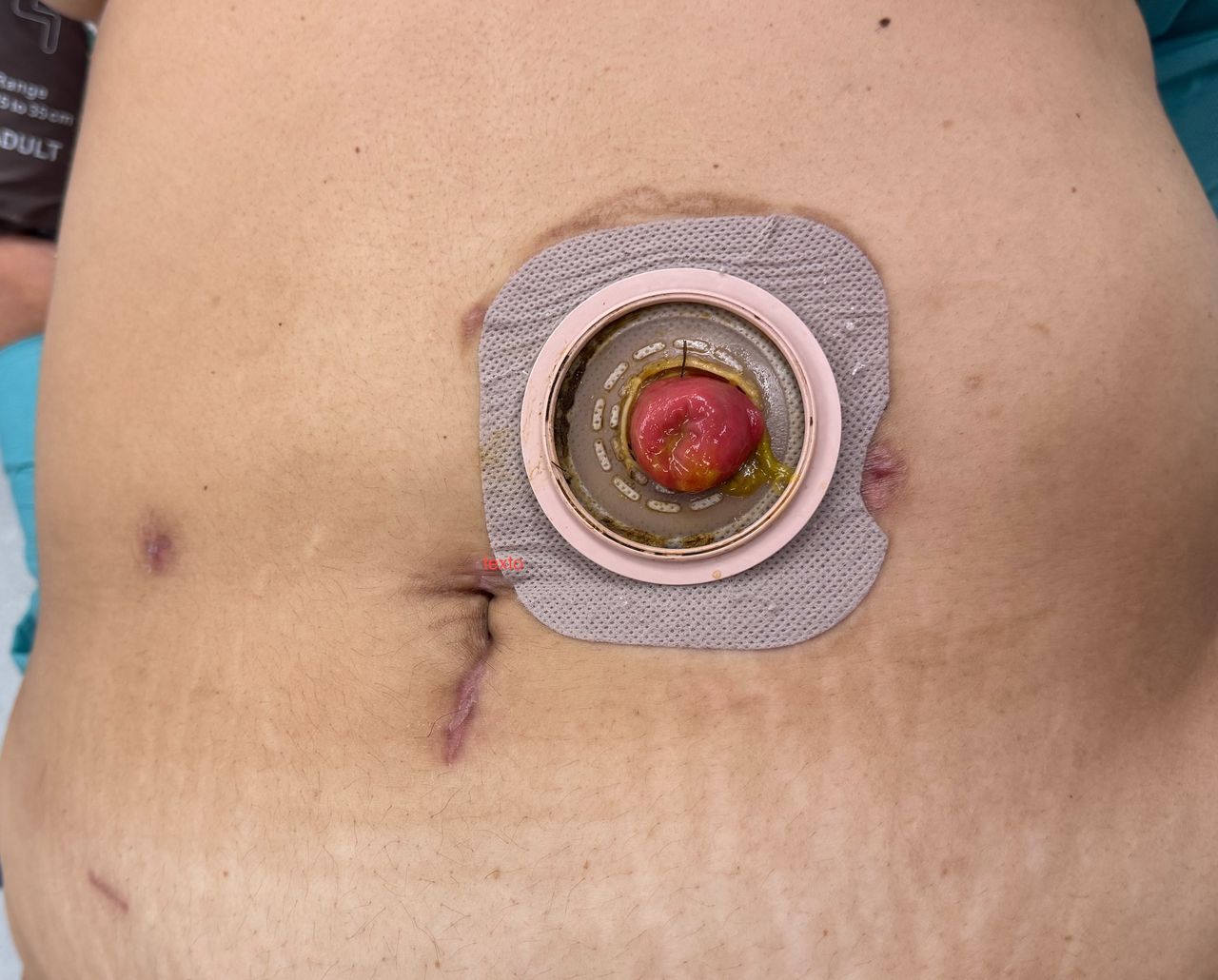 Susana Contreras Reyes-18