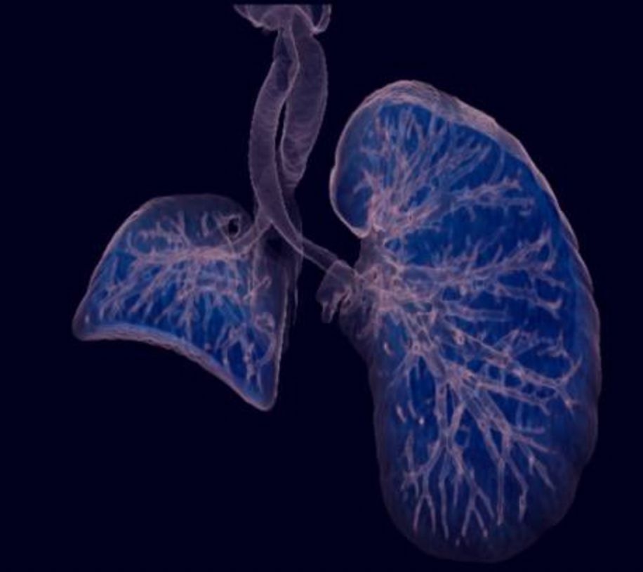 Leticia Noemi Martínez De La Cruz-2