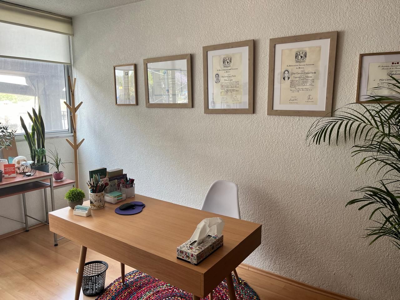 Pilar Carriedo García Morato-6