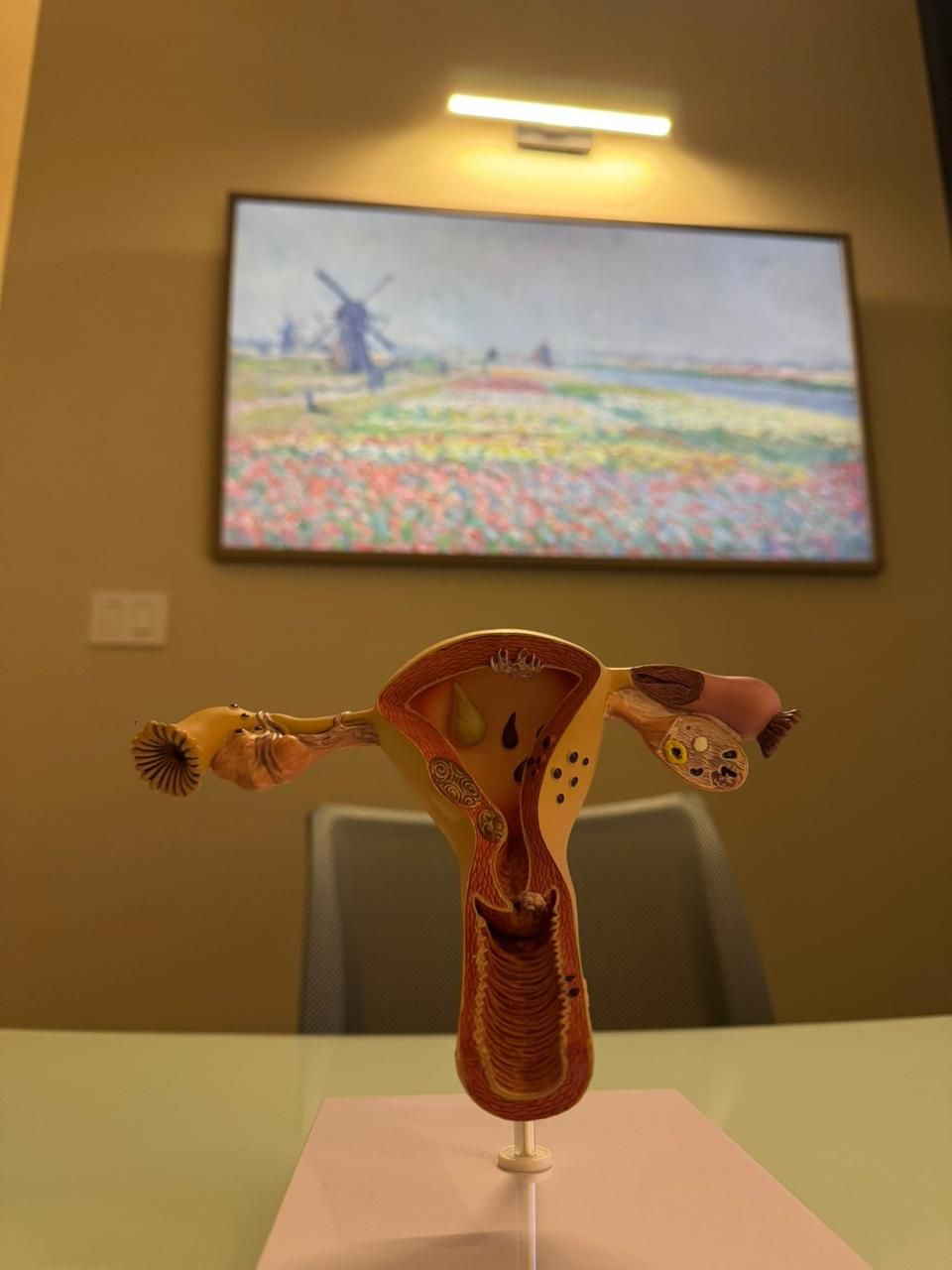 Alejandra Valencia Hernandez-5