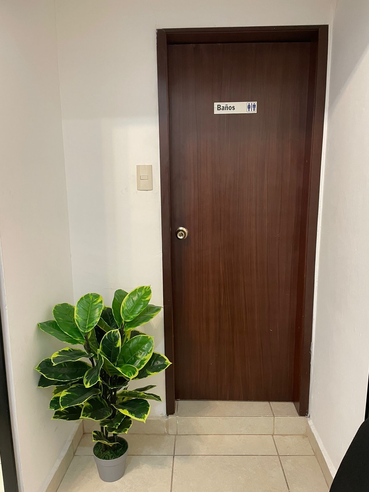 Claudia Olmedo Álvarez-2