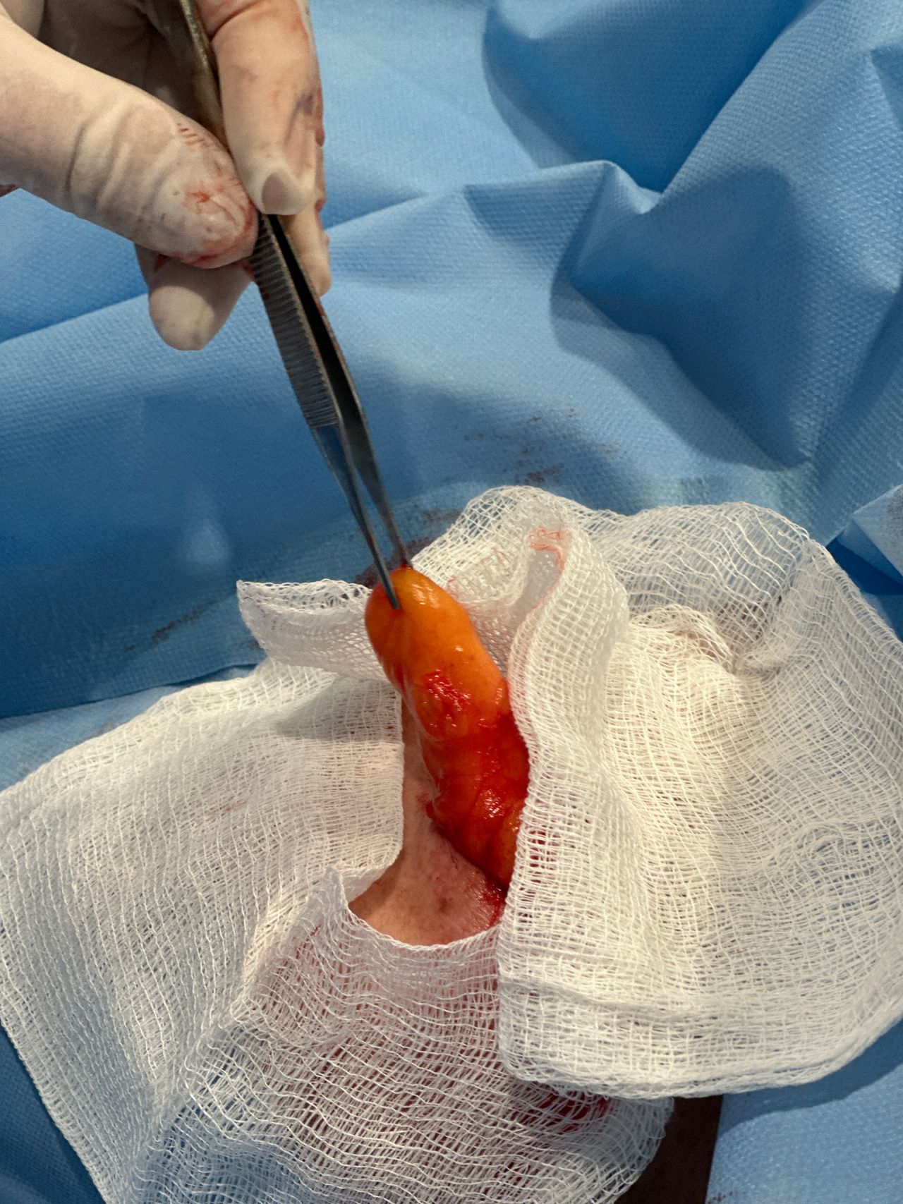 Monica Isabel Clavel Nicolas-8