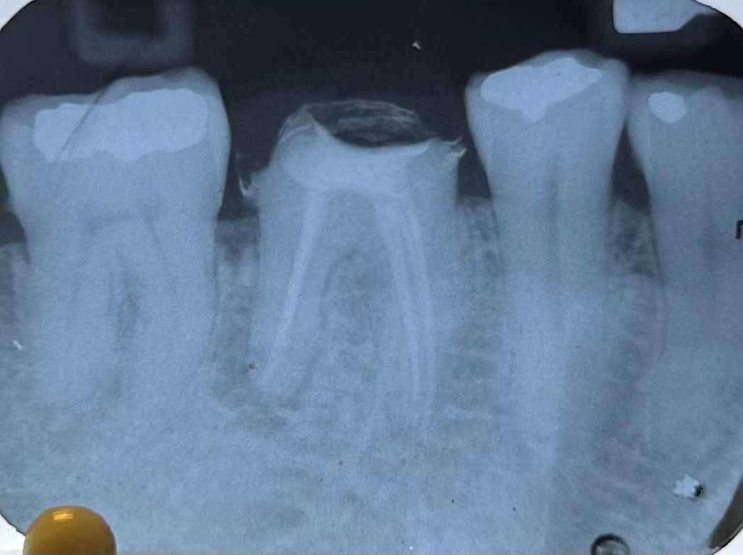 Fernanda Pérez Murrieta-2