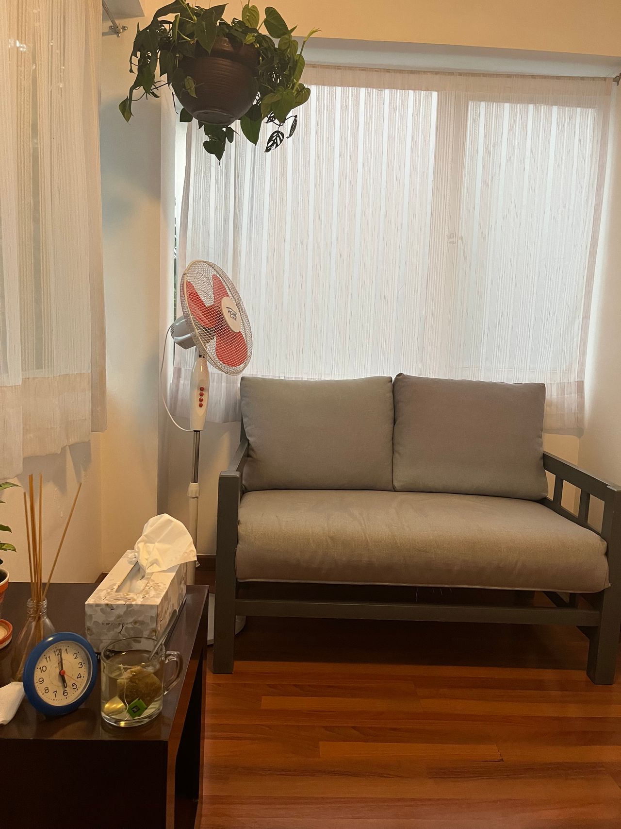 Luz Maria Rodriguez Serrano-1