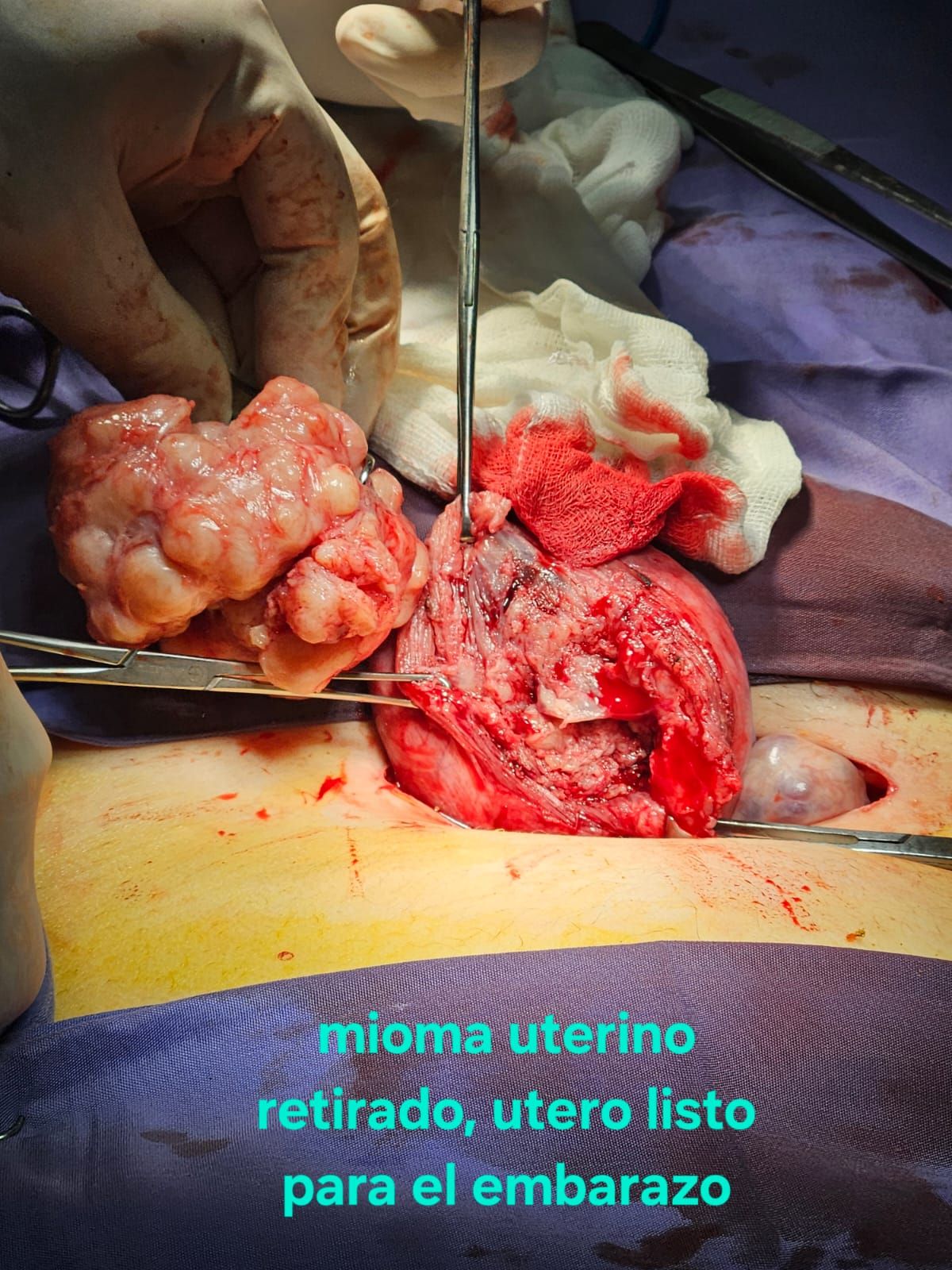 Jorge Alberto Rodriguez Pezino-40