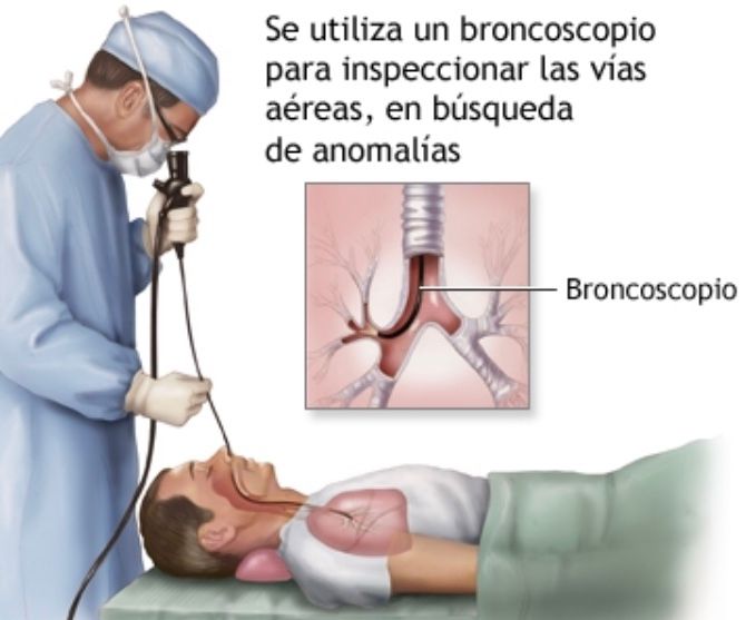 José Omar Barreto Rodríguez-4