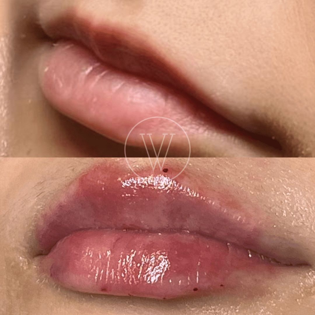 Stella Villarreal Garza-2