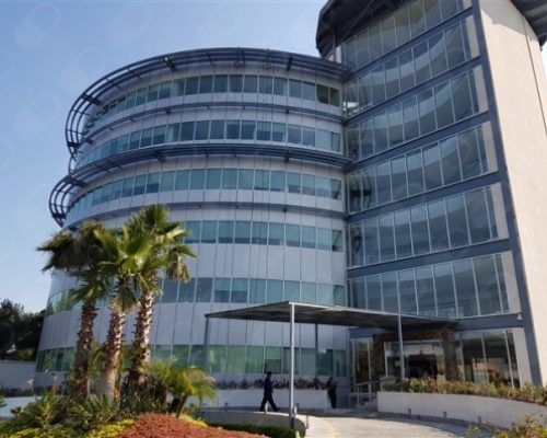 Paulina Carreño Pérez-4