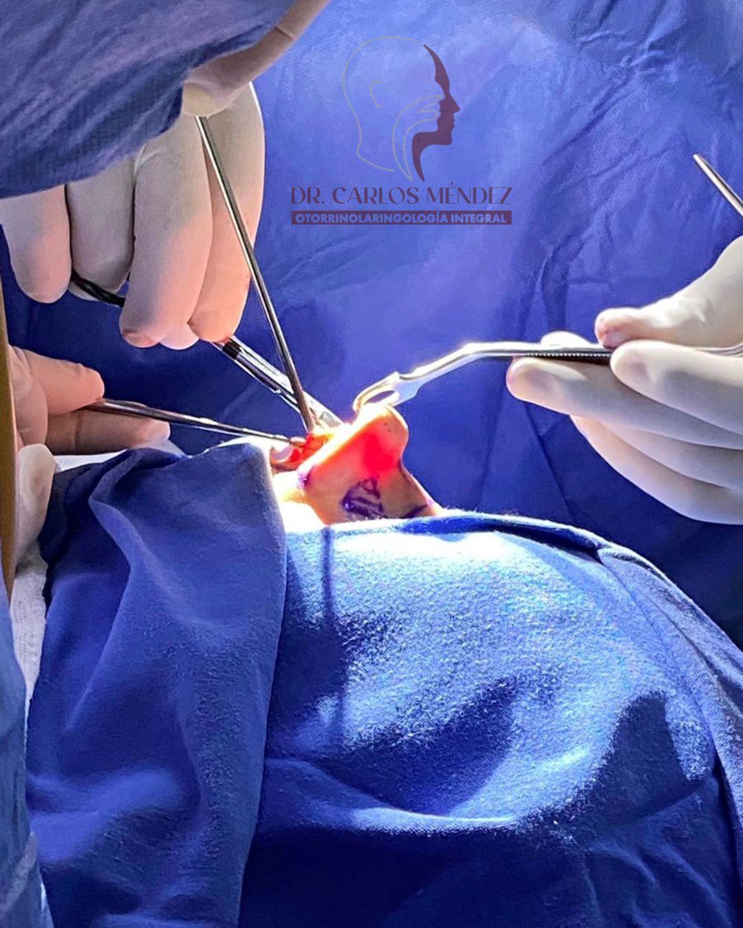 Juan Carlos Mendez Gutierrez-14