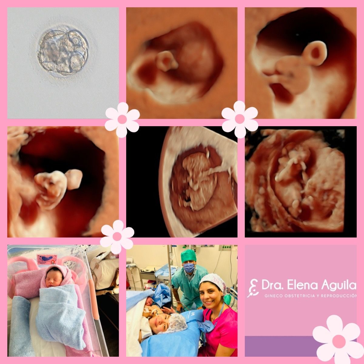 Elena Aguilar Segovia-12