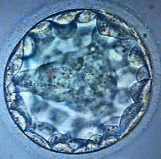 Griselda Reyes Torres-103