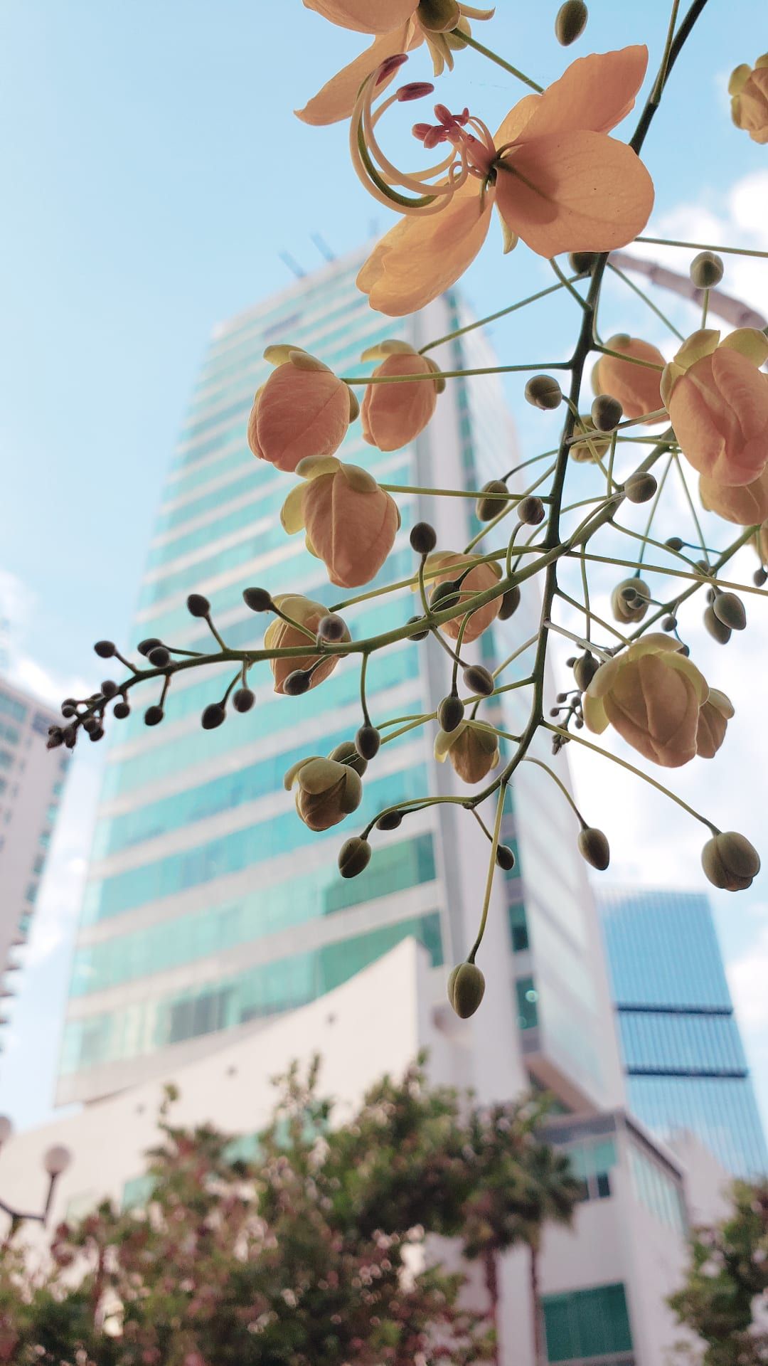 Mónica Espinal Vázquez-7