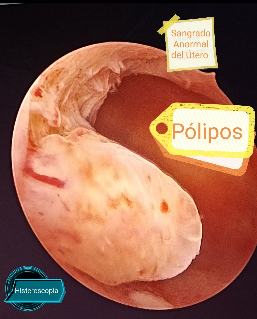 Daniel Pérez Suárez-10