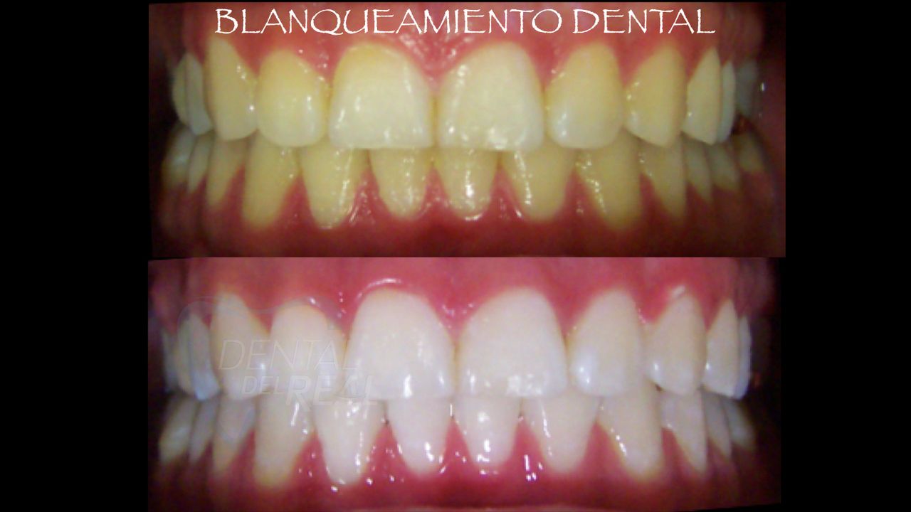 José Francisco Del Real García-81