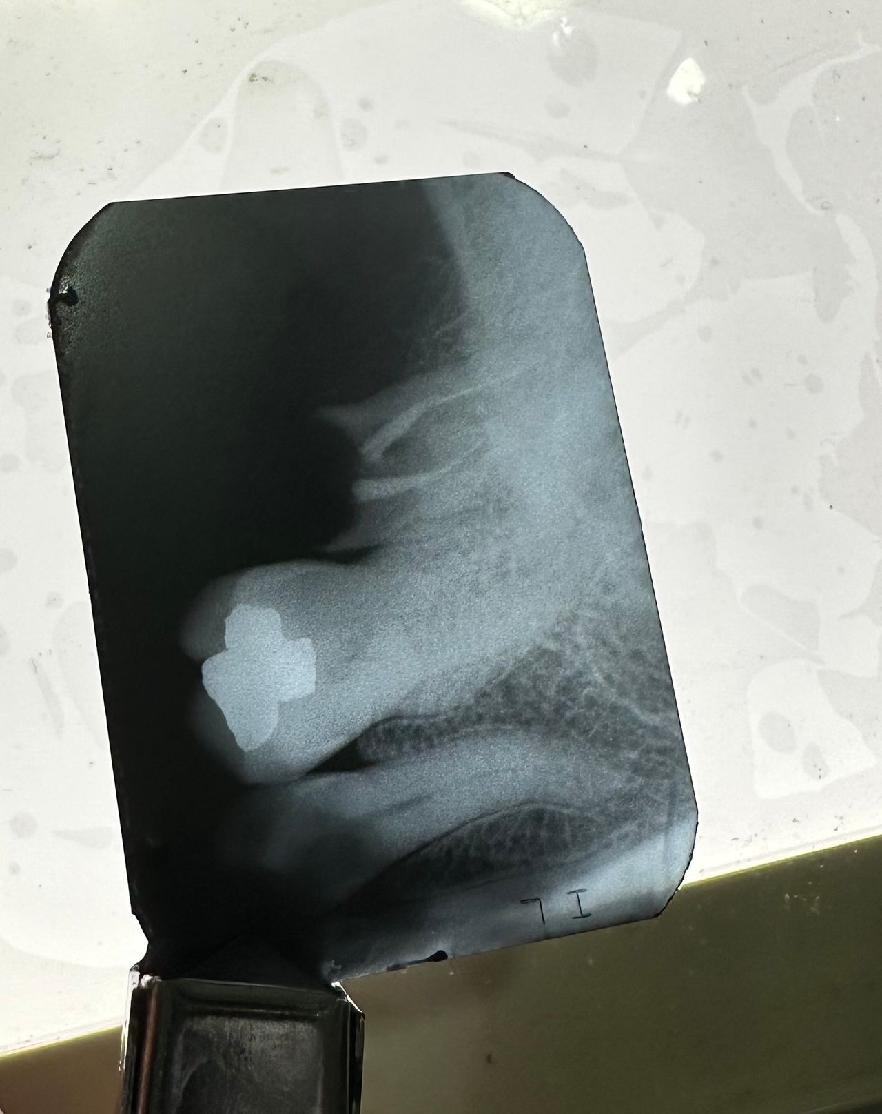 Omar Alejandro Ortiz Rodriguez-16