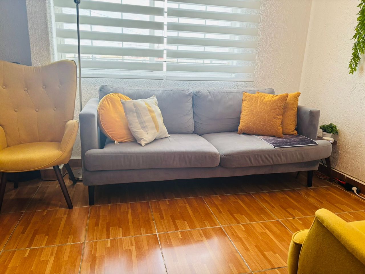 Mariana Orozco Ceja-1