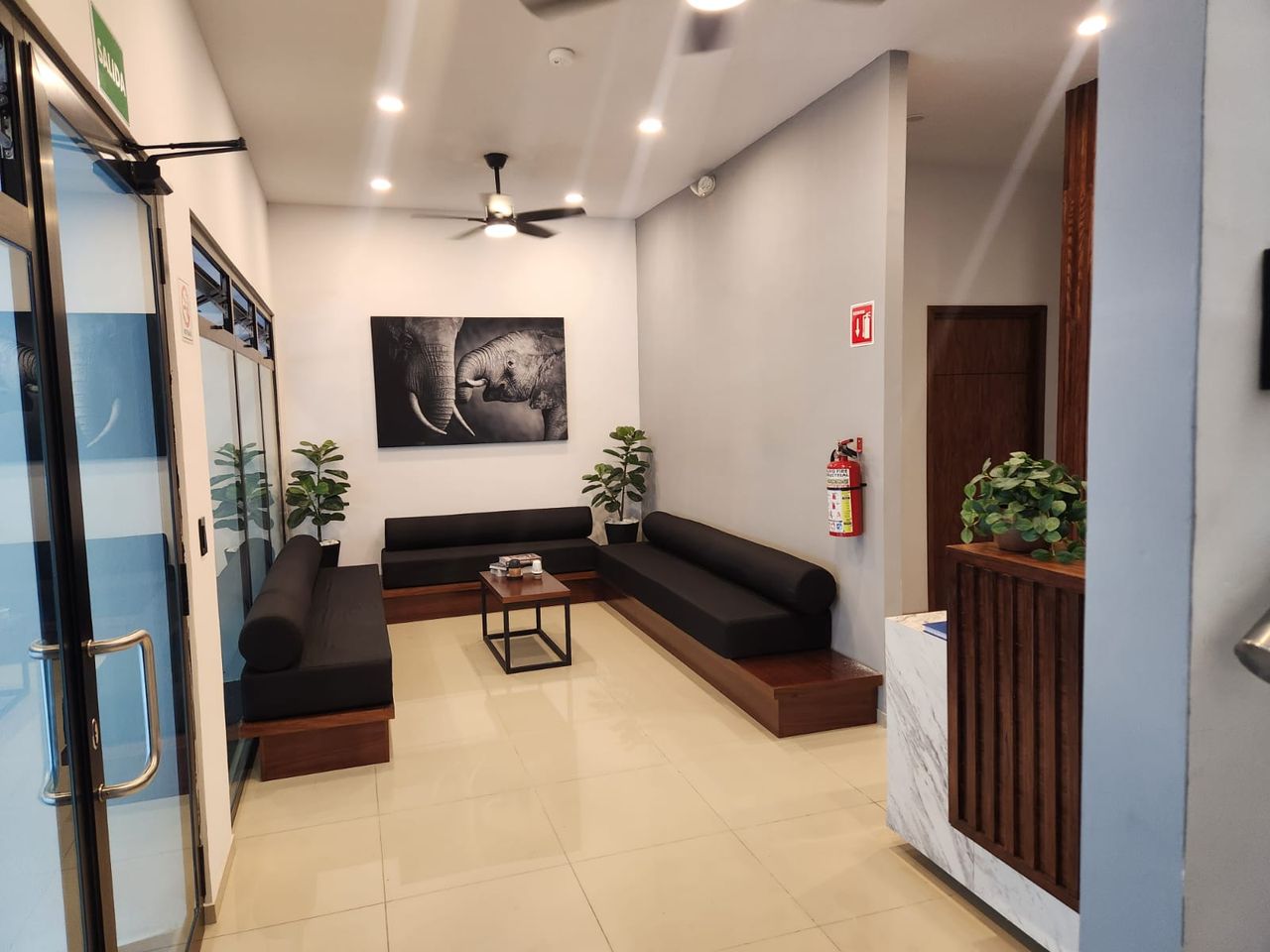 Angelica Melina Gonzalez Saucedo-3