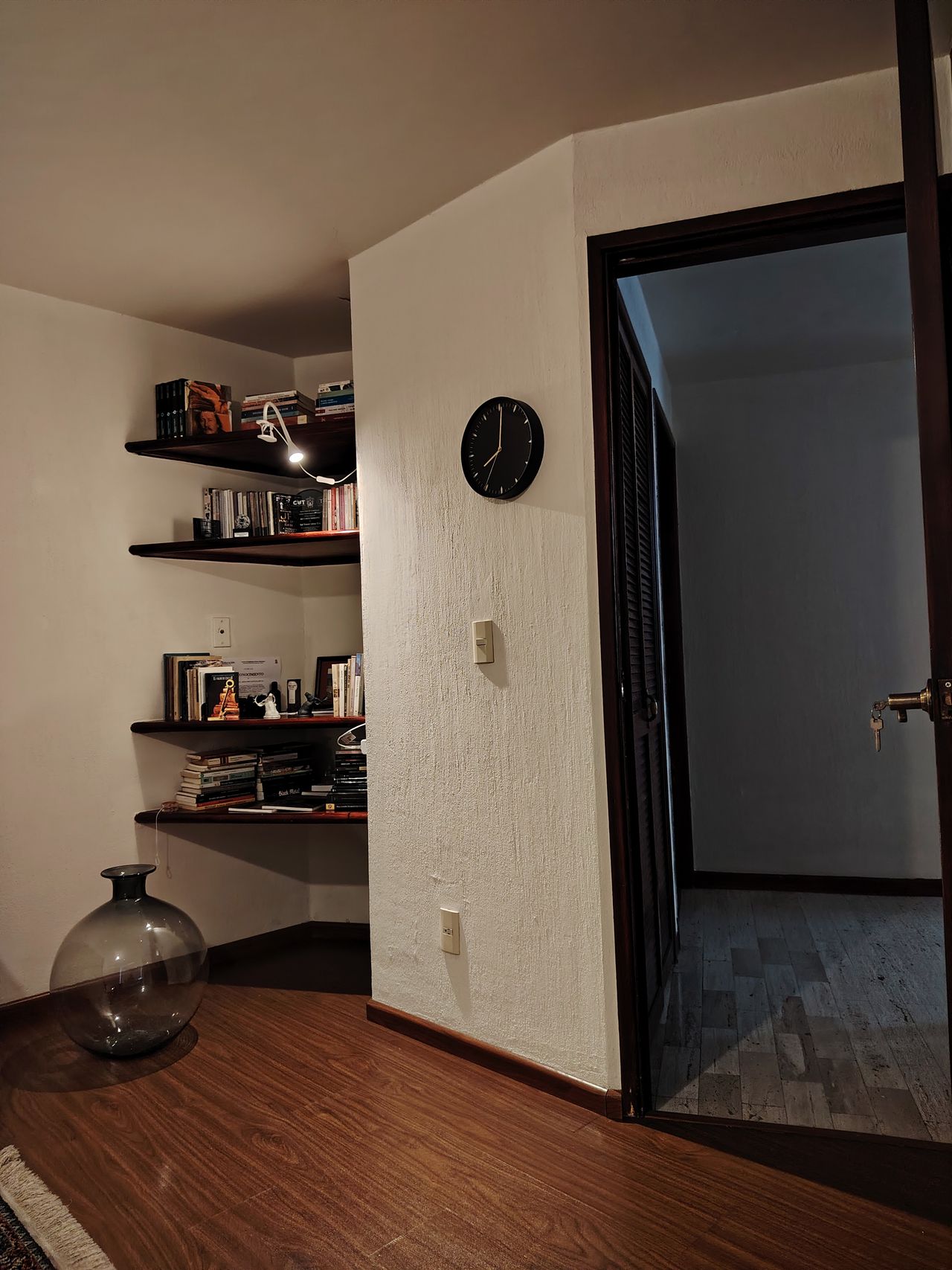 Raúl Armando Santana Rivas-7