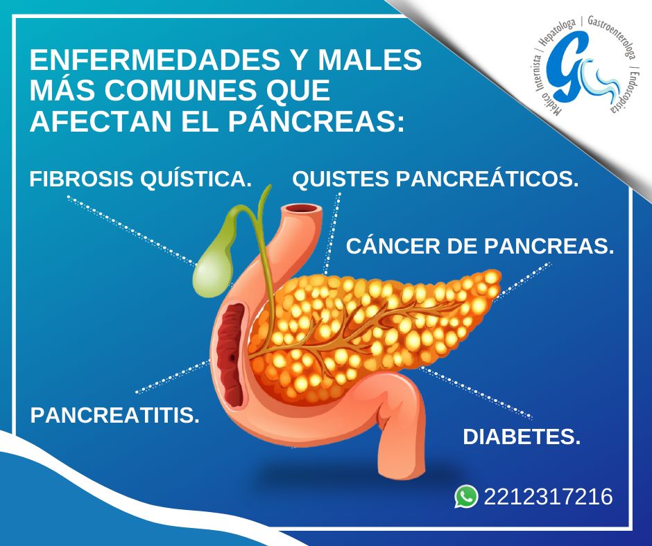 Maria Eddy Lucia Niño Almanza-3