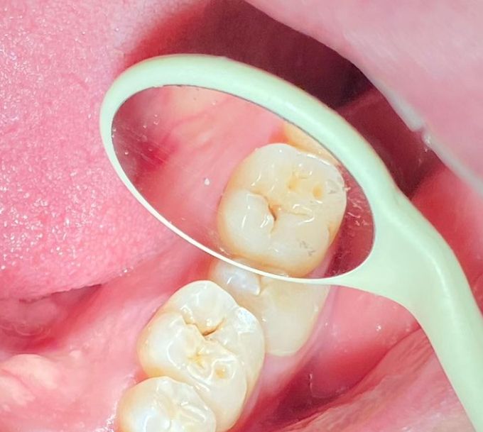 Thelma Alejandra Rodriguez Montes-6