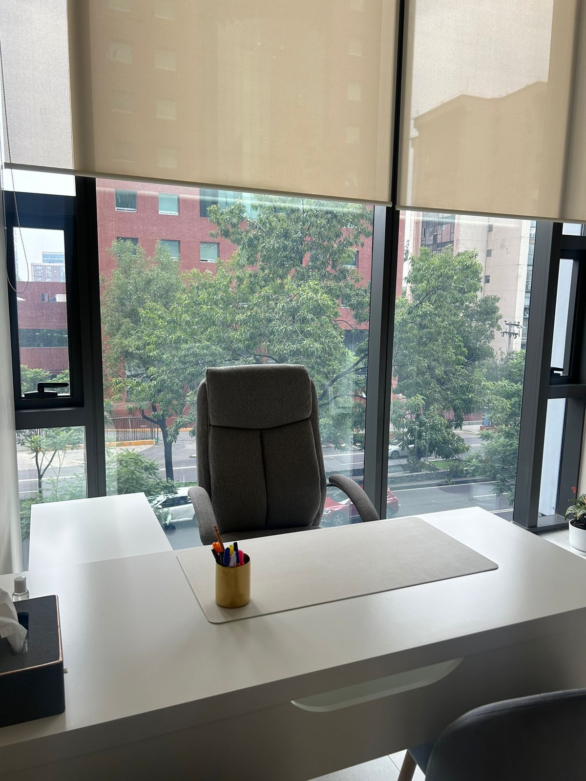 Grecia Deloya Brito-2