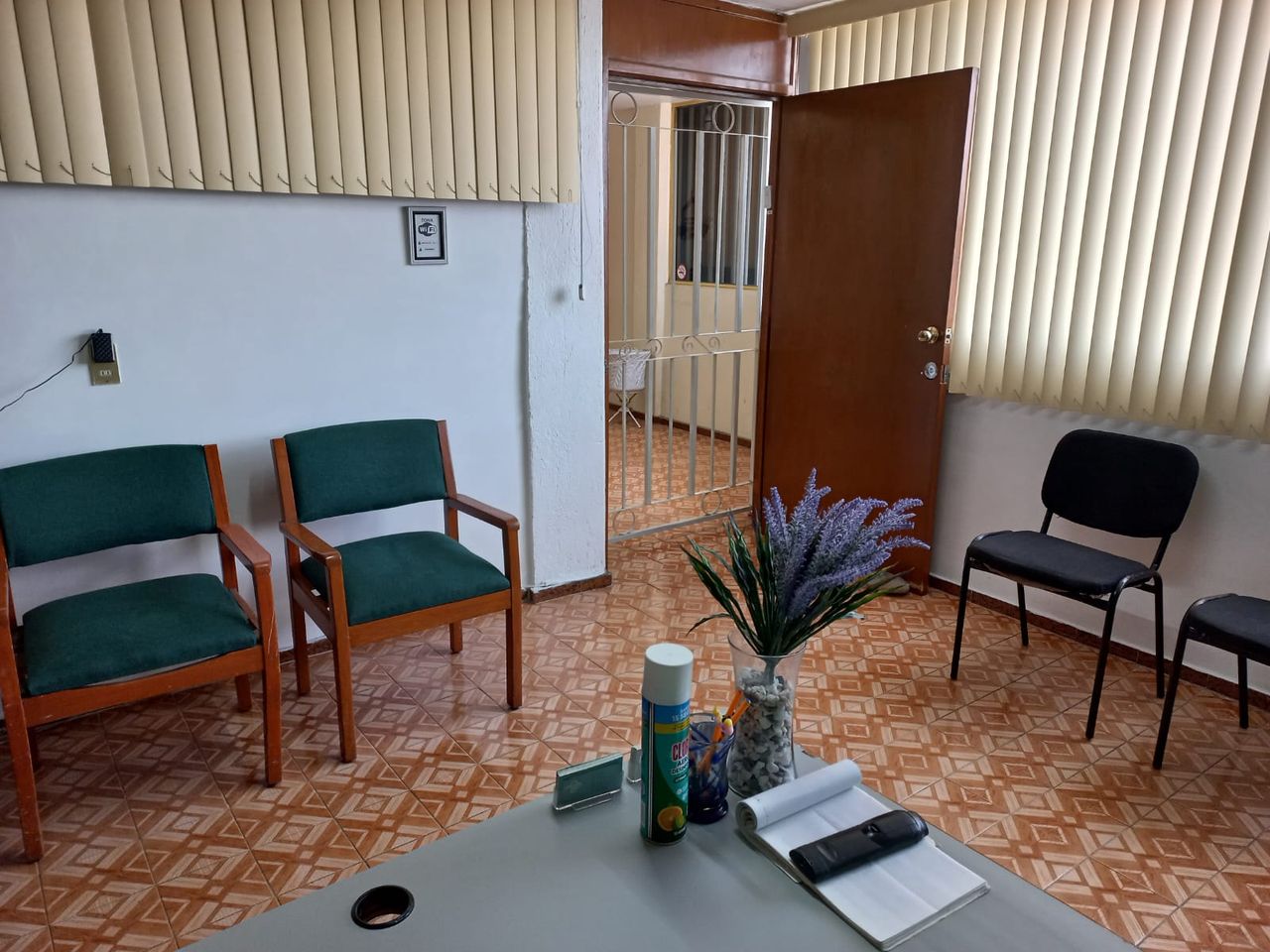 Laura Elizabeth Guzmán Pérez-10