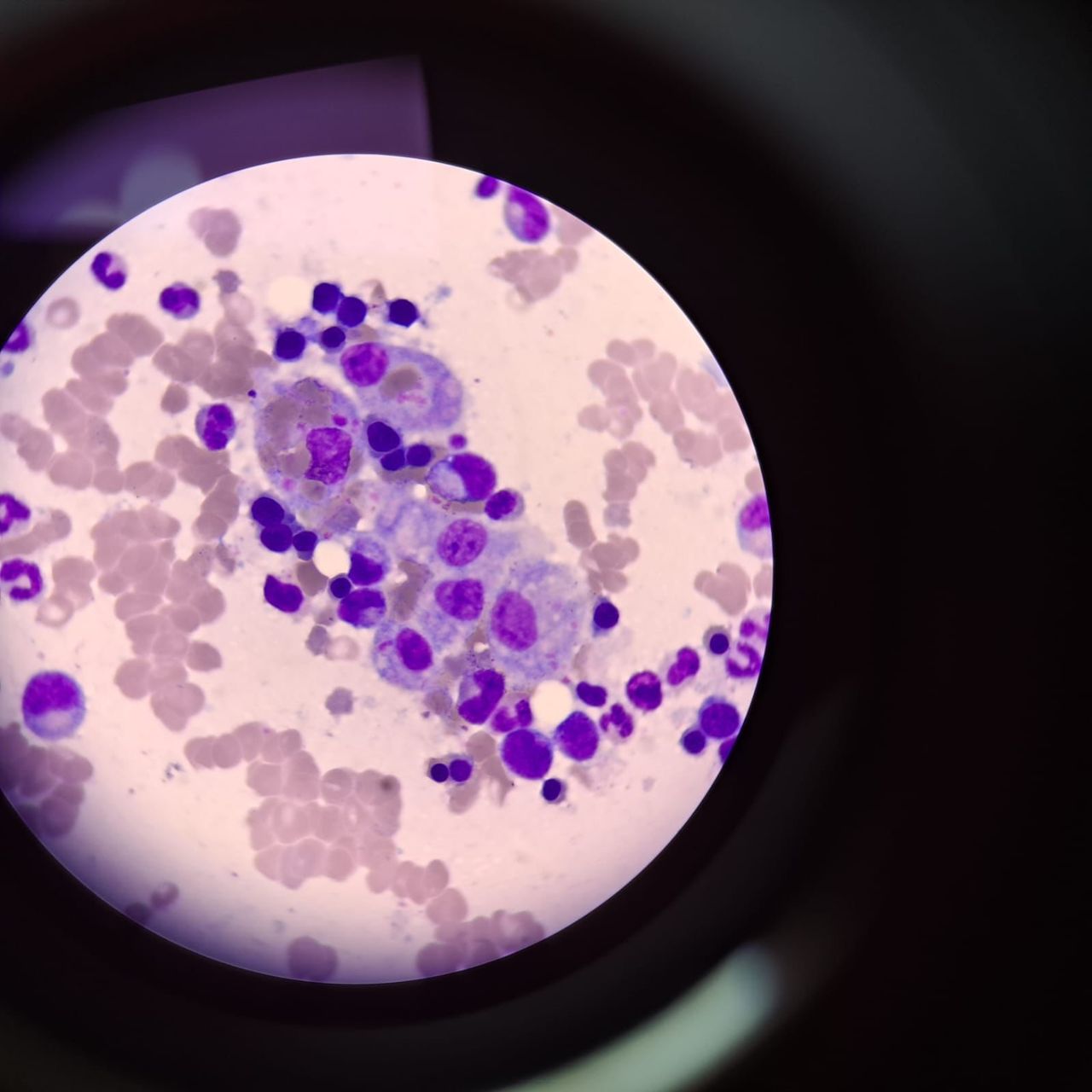 Daniel Cabello Modesto-1