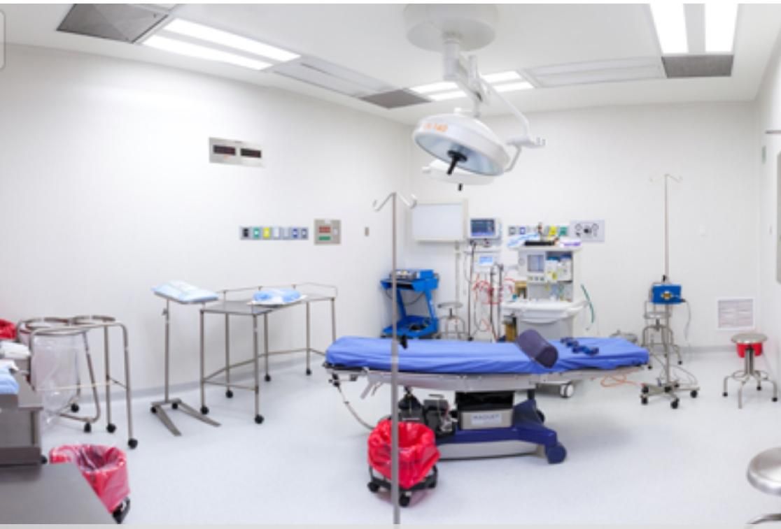 Jose Manuel Organista Adame-5