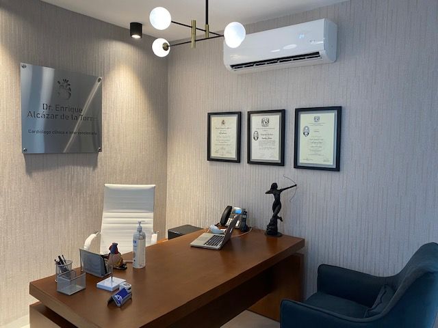 Enrique Alcázar De La Torre-6