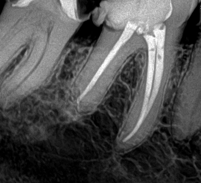 Carlos Gallegos Toledo-2