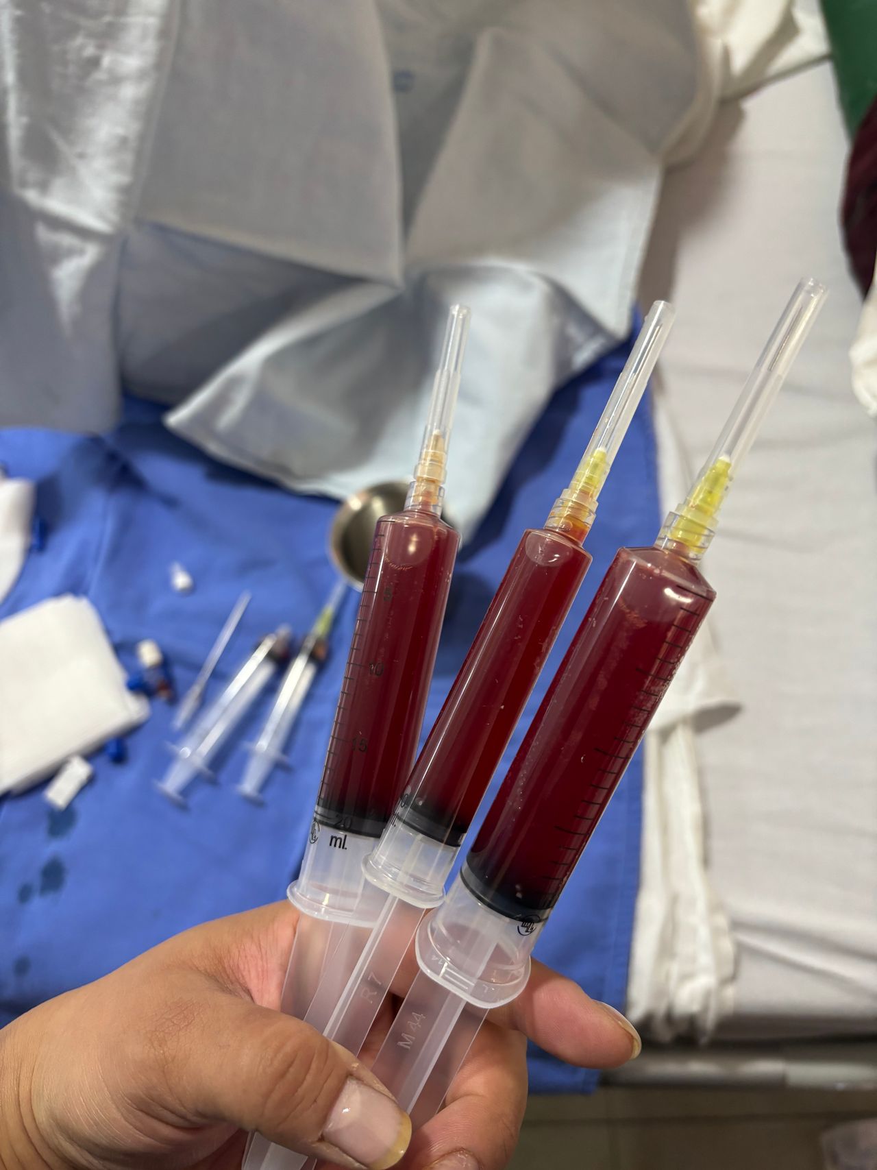 Guadalupe Vázquez Tapia-5