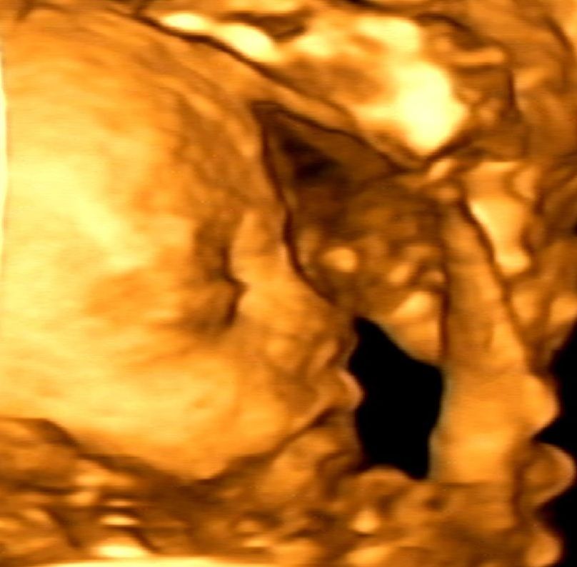 Mario López Franco-11